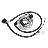 Zündanlage für Kawasaki KX KX65/KX85/100