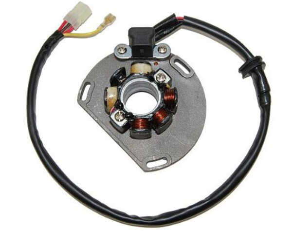 Lichtmaschine für KTM 200 EXC