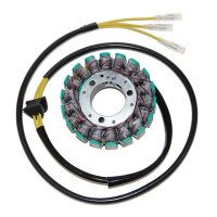 Lichtmaschine Suzuki GS500E