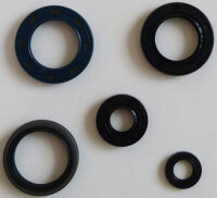 Dichtring Simmerring für Suzuki DR-Z 400 Motor...