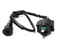 Zündspule für SEIKEL Ares 250