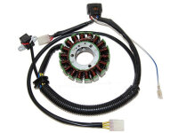 Lichtmaschine SMC Barossa RAM 503 / Canyon 500 / 520 Stator