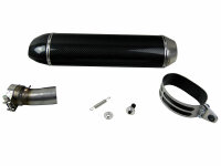 Auspuff für BMW F 800 S 08-16 Carbon