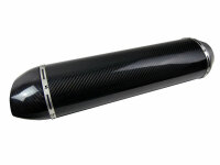Auspuff für BMW F 800 S 08-16 Carbon