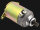 Anlasser, Starter, Motor, Anlassermotor Malaguti F 18 Warrior 125 / 150 Elektrostarter Roller
