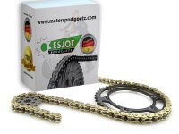 Kettensatz / Kettenkit Quad f&uuml;r Barossa SMC Stinger 250 X-Ring Gold