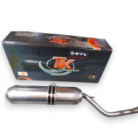 Auspuff Aeon Crossland Overland Cobra 300 / 350 mit ABE...