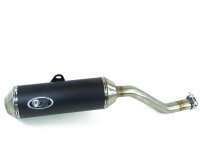 Auspuff für Honda XL 600 V Transalp 87-96 PD06