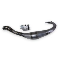 Auspuff für Yamaha TZR 50 GP 4YV
