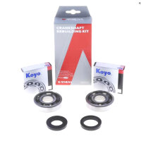 Kurbelwelle Lager für Yamaha DT 125 R/RE/X...
