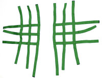 Nerfbar Netz Kawasaki KFX 450 grün Nerf bar R1 3+3