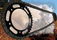 Kettensatz Bestia 3.3 Tuning verstärkt Z.14/31