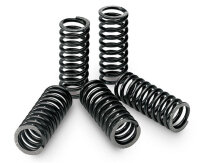 Kupplungsfedern verstärkt für KTM 250 EX/C RFS