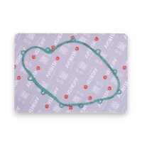 Kupplung Dichtung für Aprilia RS 250 / Suzuki RGV...