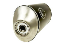 Auspuff GMax für Kymco Grand Dink, Dink 250 Bet...