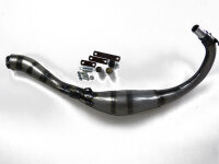 Auspuff für Aprilia RS4 50