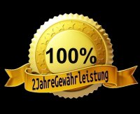 Radlager vorne Yamaha Raptor YFM 700 R