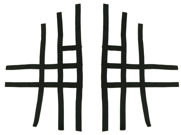 Nerfbar Netz Shineray 250 STXE