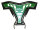 Front Bumper Yamaha Raptor YFM 660 R grün