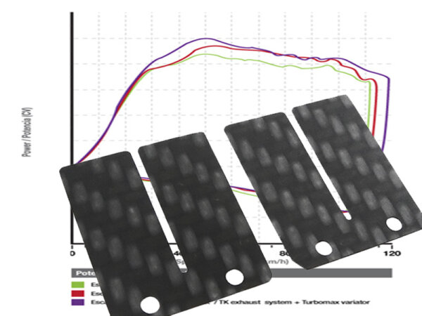 Membrane Carbon Aprilia 50 AF1, RS, RX, Stage 2 Racing