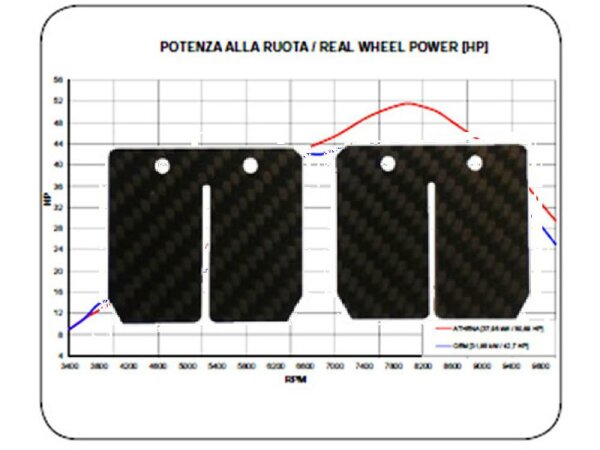 Membrane Carbon für Honda MBX / MTX 80R/RSE, NSR / MBX 75, Stage 2 Racing