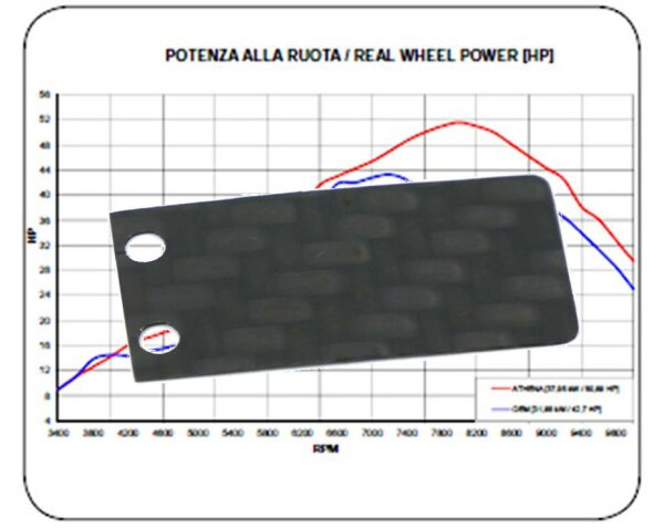 Membrane Carbon für Aprilia ET 50 / Tuareg 50, Rieju Drac AC 50, Stage 2 Racing