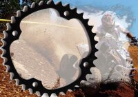 Kettenrad Z36 SMC Barossa Captain 300 Triton 250