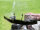Windschild Windabweiser SMC Jumbo 300 301 302 700