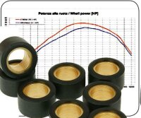 Variatorrollen 19x15,5 8,3 Gramm Kupplungsgewichte
