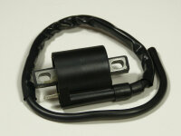 Zündspule Dinli 50/100 DL601/603
