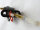 Benzinhahn Can AM Bombardier DS 650 / DS650 Baja Kraftstoffhahn