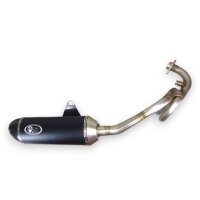 Auspuff für Piaggio X Evo 125 Auspuffanlage