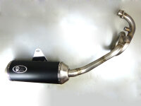 Auspuff für Piaggio X Evo 125 Auspuffanlage