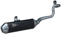 Auspuff für Piaggio X Evo 125 Auspuffanlage