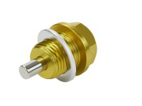 Ölablassschraube für BMW/Aprilia/Harley/Sherco Magnet gold M16x15