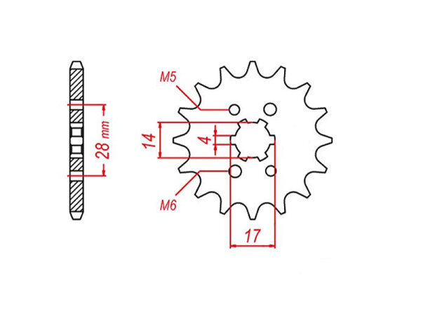 Ritzel 14 Zähne für Derbi GPR 125