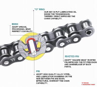 Kette O-Ring 428x134 Glieder gold