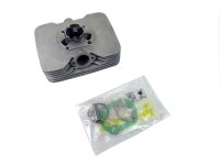 Zylinder für Sachs RS 50 Parmakit 80 ccm 12mm Bolzen