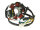 Lichtmaschine Stator 85W für Derbi Senda, Aprilia RX, SX, Gilera RCR, SMT