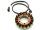 Lichtmaschine Stator ESG831 für BMW F / 650 / 700 / 800
