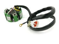 Lichtmaschine 50W Lighting Stator For für KTM 250 SX-F SXS-F 400 SX 450 SMR SXS XC 520 525 SX / Husaberg FC 550 450 2000-2010