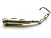 Auspuff für Yamaha YZF 125 R 14-15/ MT 125 15 GP...