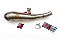 Auspuff Carbon für Ducati Scrambler 800 15-20