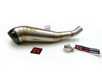 Auspuff Carbon für Ducati Scrambler 800 15-20