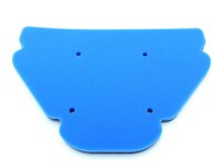 Luftfilter Kawasaki ZX-9R 900 Ninja C, KAT D/E/F/H ZX900