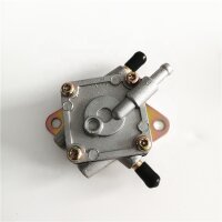 Benzinpumpe für Hyosung United Motors GT250R GV250...
