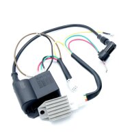 Regler CDI Zündspule für Lichtmaschine 6V 85W...
