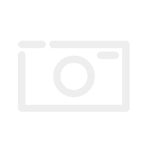 LEOVINCE Auspuff GP Style Edelstahl KTM Duke 390 Bj 2016