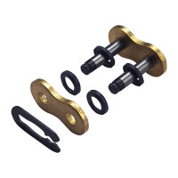 Kette Regina 428 x 132 O-Ring Gold