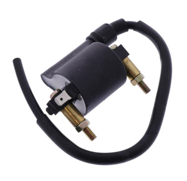 Zündspule universell für Adly / Aeon / AGM / Aprilia / Beeline etc.